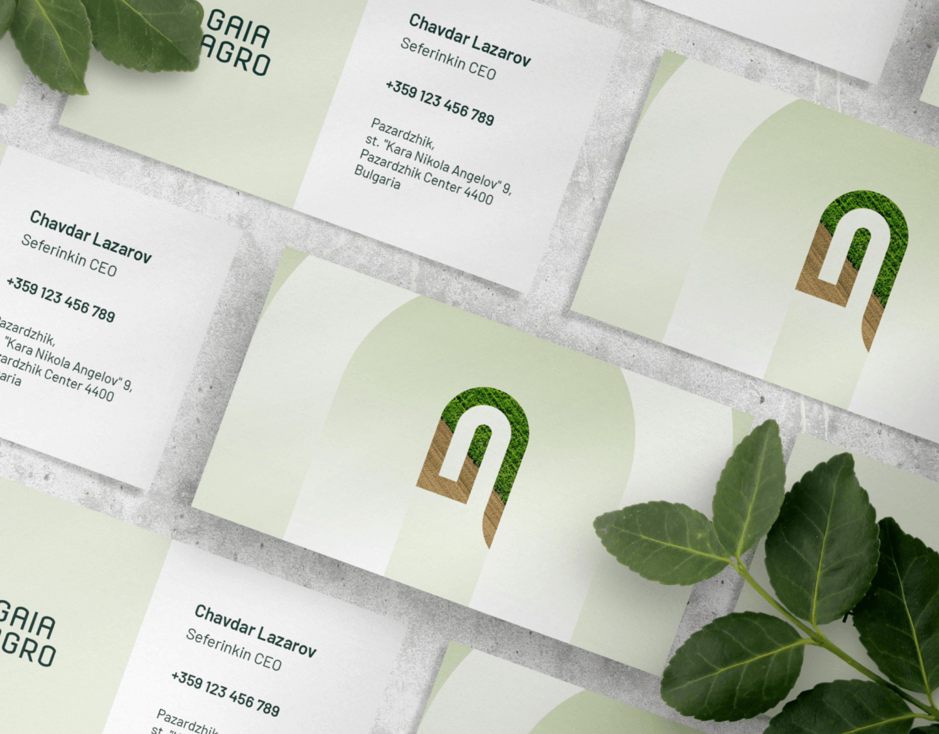 agartstudio-brand-design-6